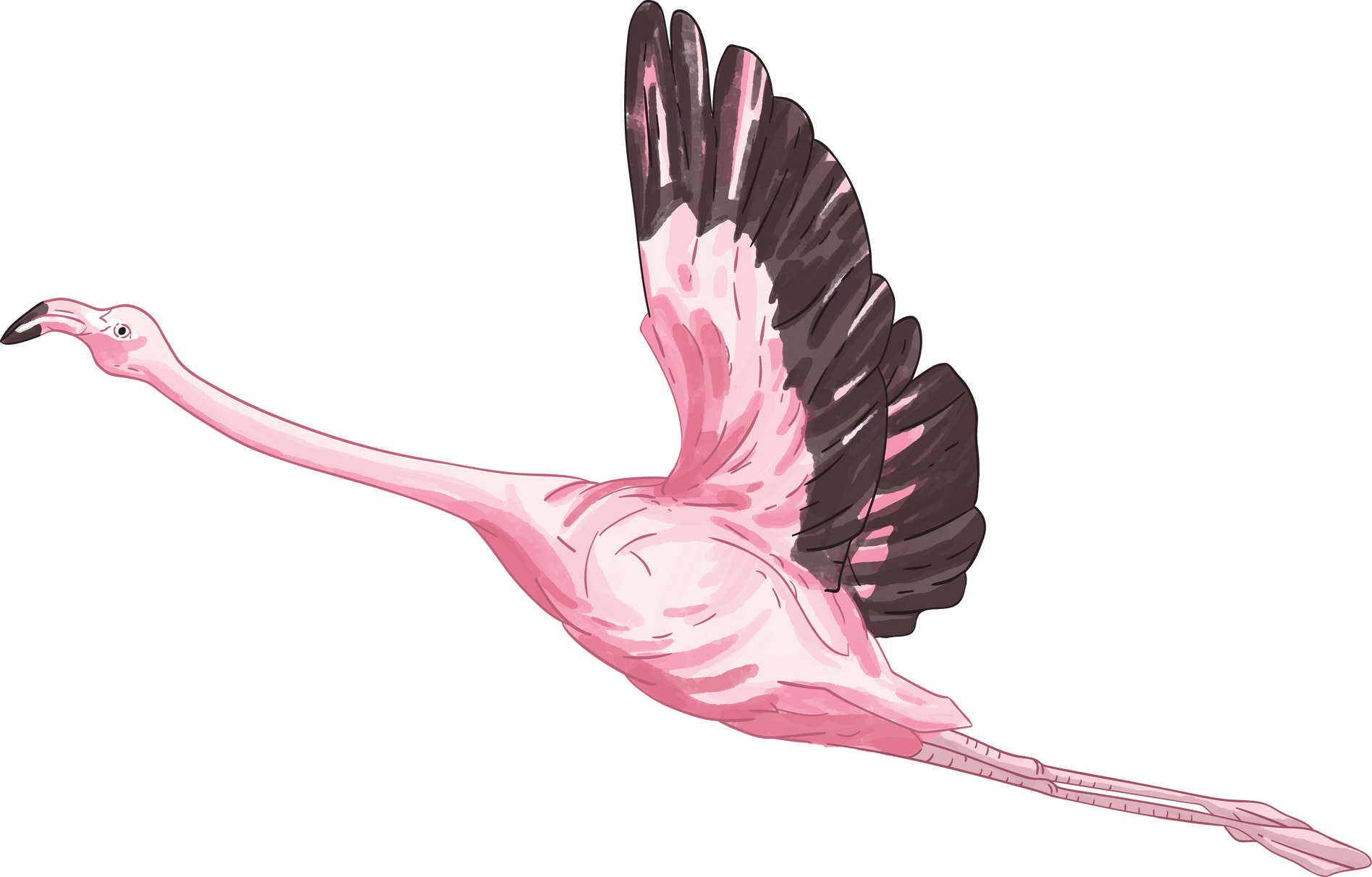 Flying Flamingo Illustration