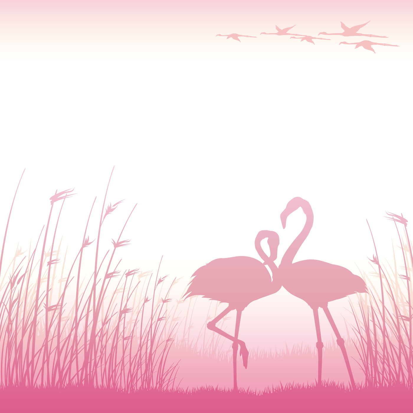 Background with Pink Flamingos